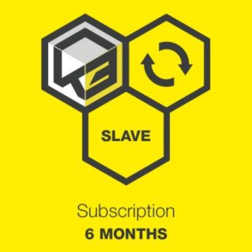KESS3 Slave – 6 Months of subscription resmi